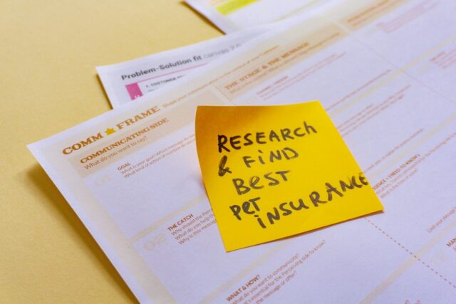 Photo contest preparation research analysis recommendations