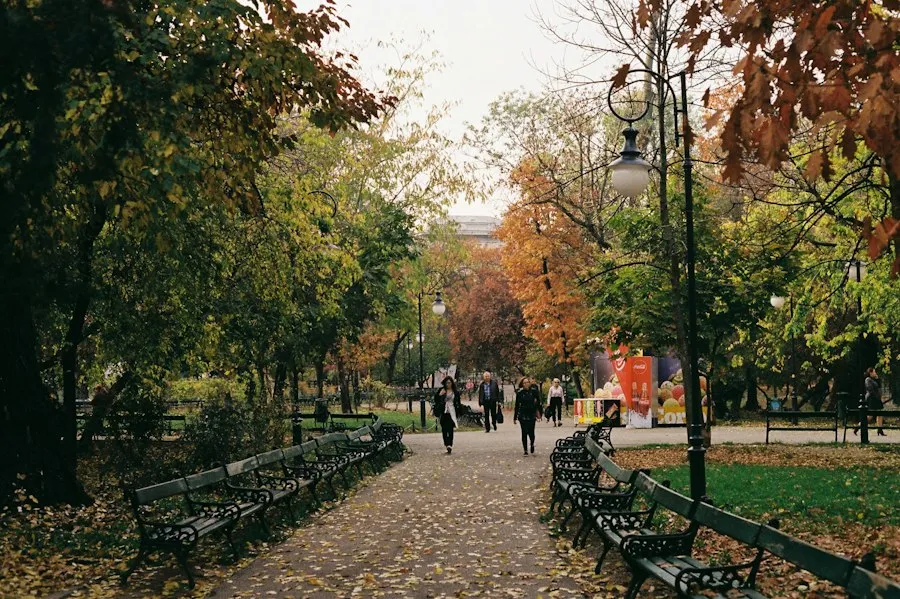 Photo common running mistakes Bucharest parks